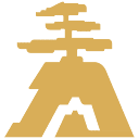 王力安防 Wangli